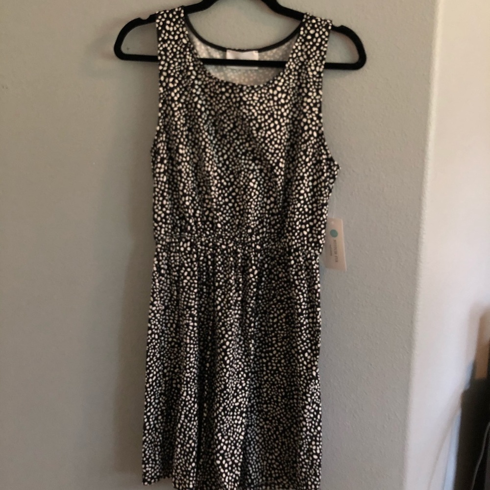 NWT Black and White Knit Dress